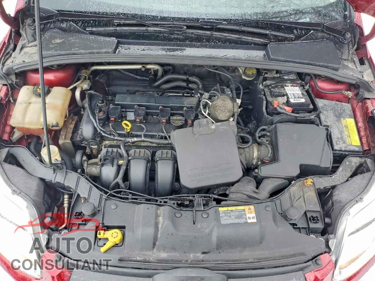 FORD FOCUS 2013 - 1FADP3F25DL377537