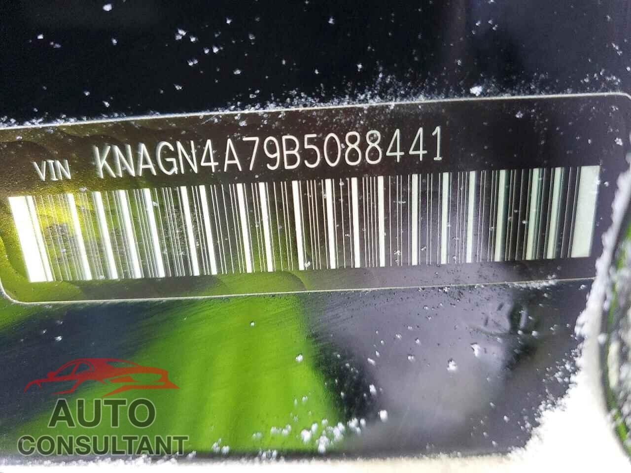 KIA OPTIMA 2011 - KNAGN4A79B5088441