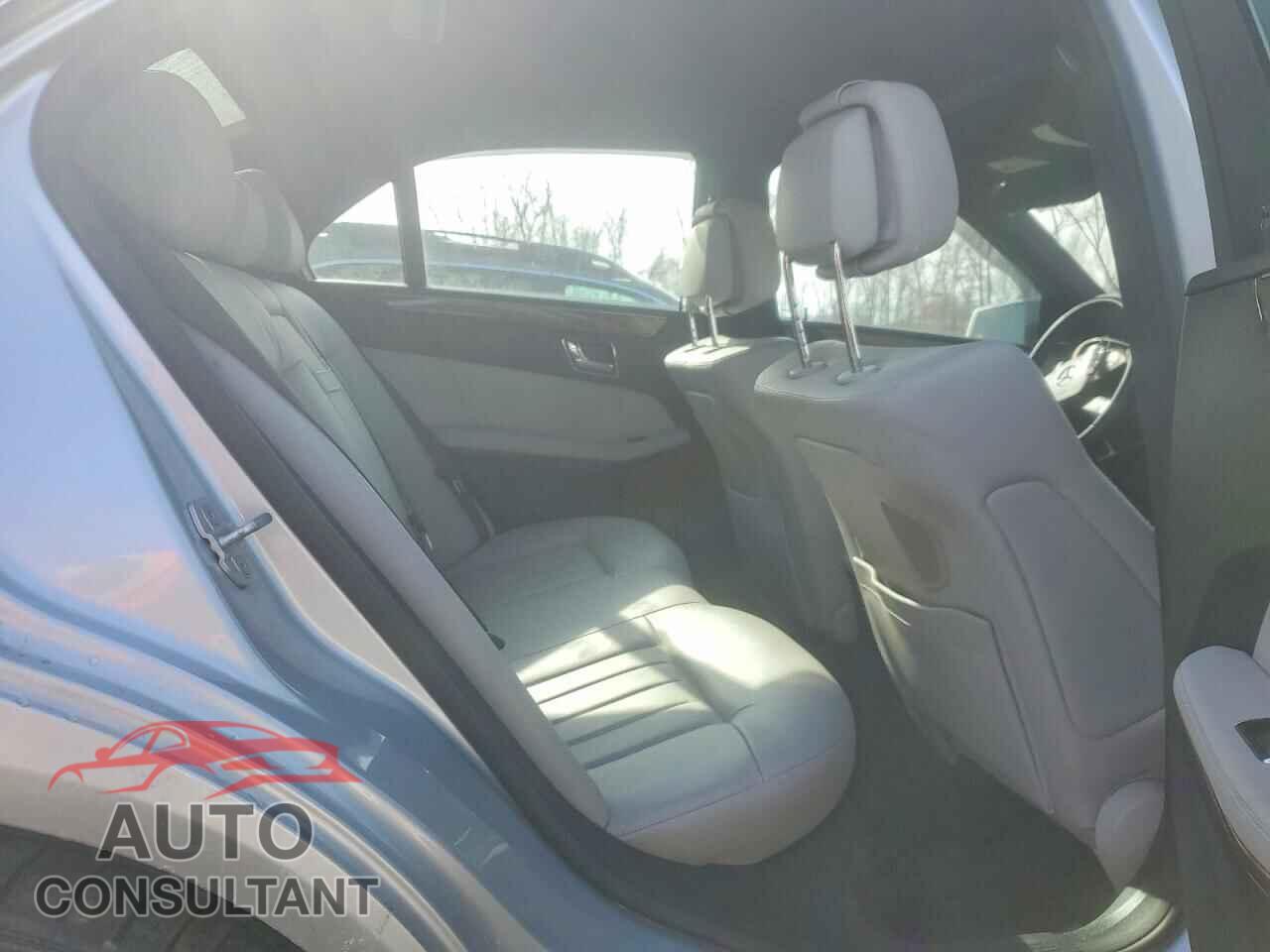 MERCEDES-BENZ E-CLASS 2010 - WDDHF9ABXAA194561