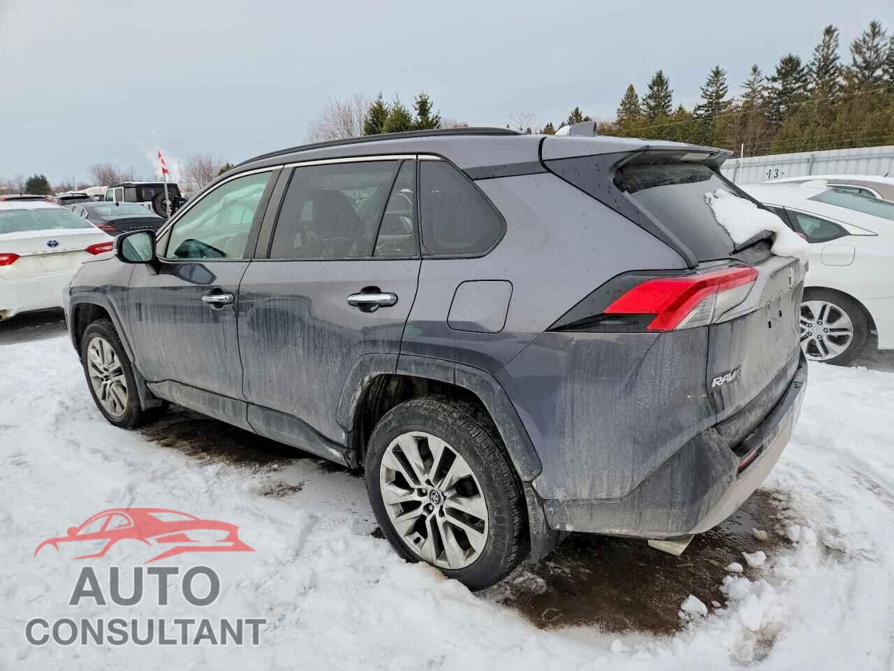 TOYOTA RAV4 2019 - 2T3D1RFV2KC005643