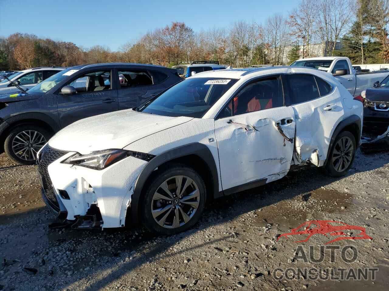 LEXUS UX 250H 2021 - JTHR9JBH2M2051207