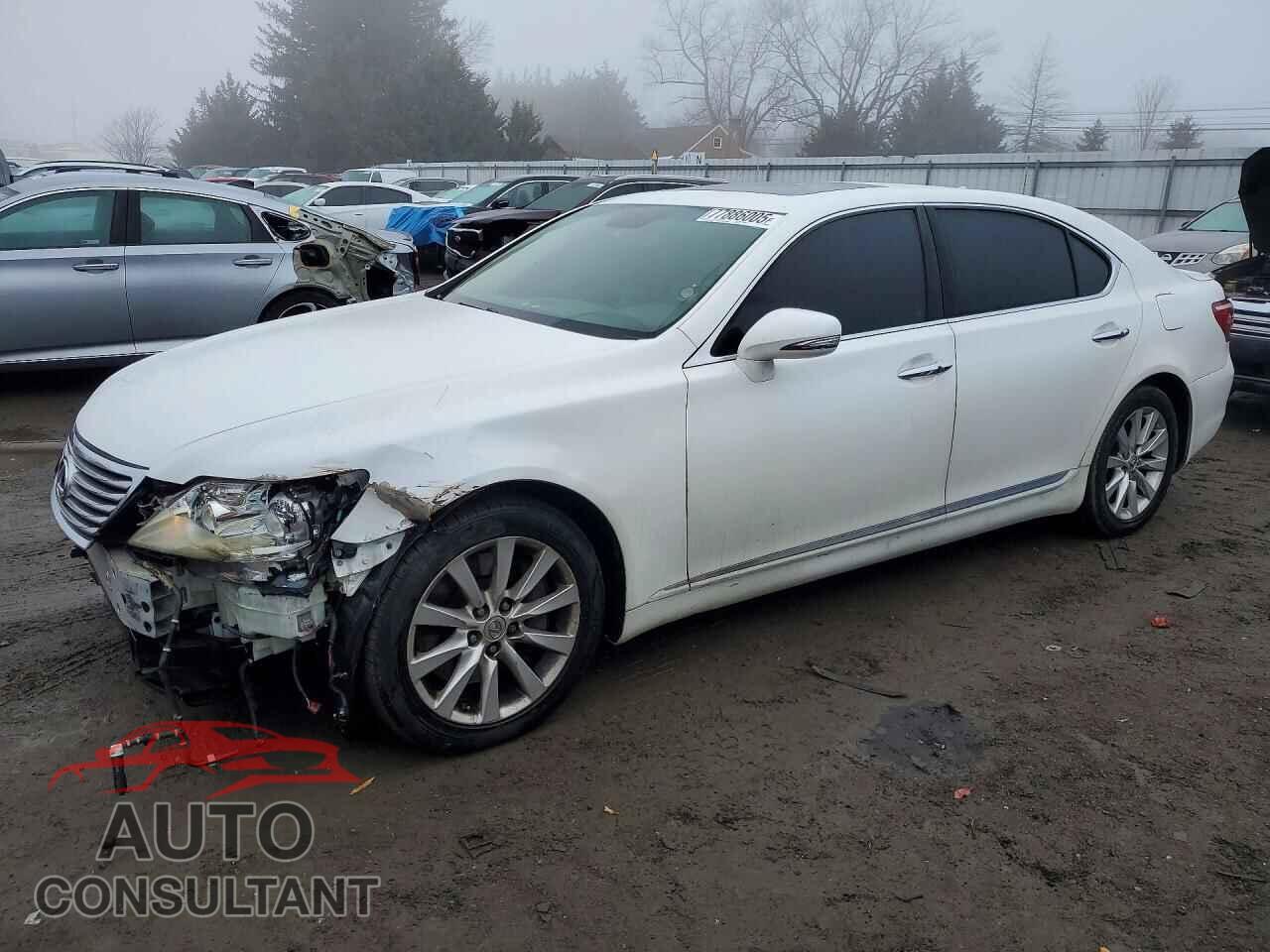 LEXUS LS 460 2011 - JTHDL5EF2B5003442