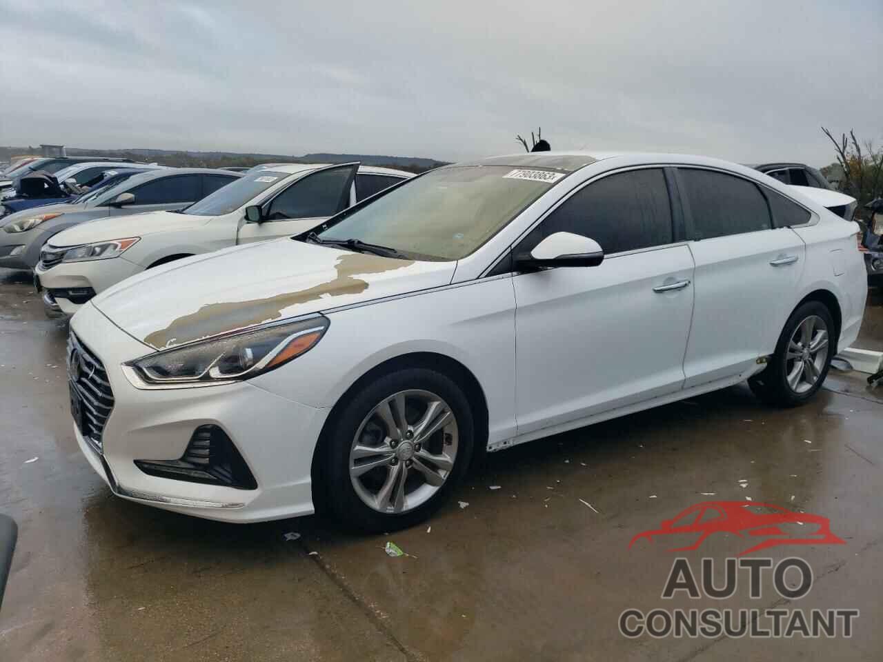 HYUNDAI SONATA 2018 - 5NPE34AF4JH655497
