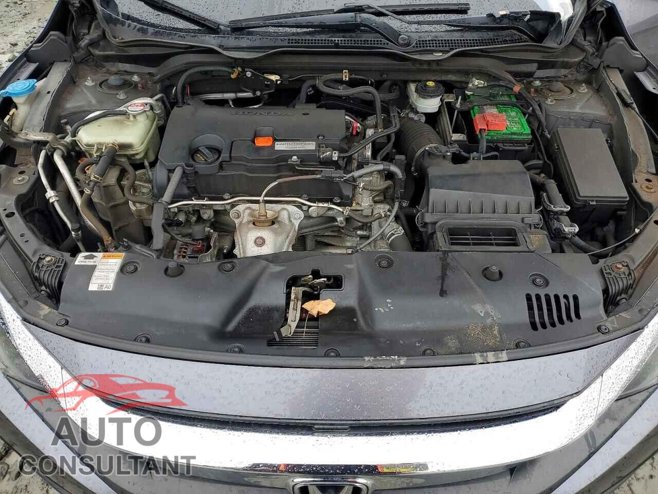 HONDA CIVIC 2017 - 2HGFC2F52HH524551
