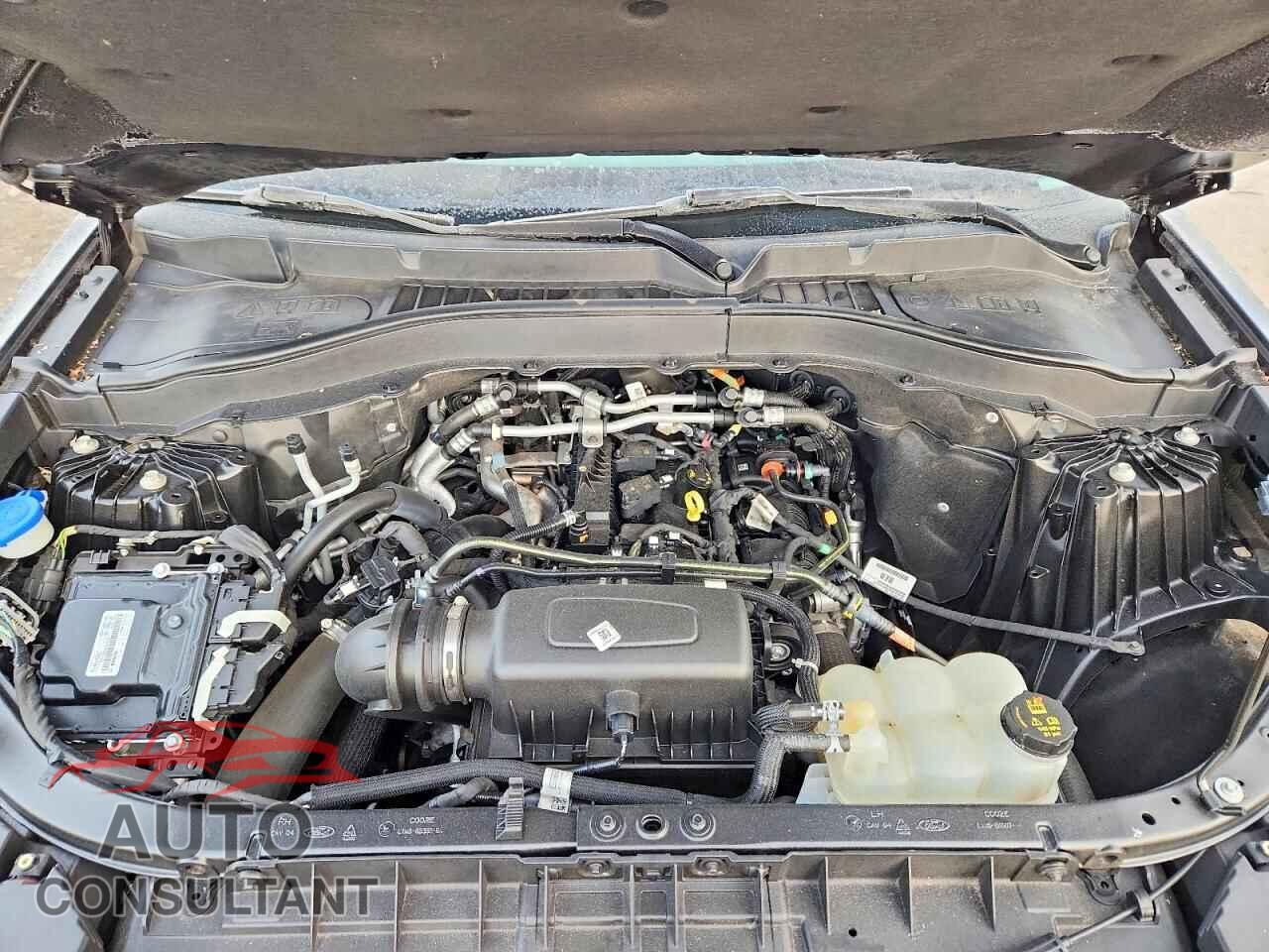FORD EXPLORER 2021 - 1FMSK8DH7MGC20679