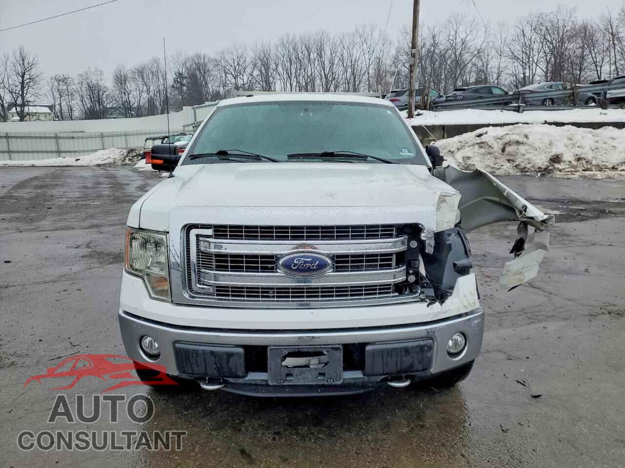 FORD F-150 2014 - 1FTFX1EF2EKF13867