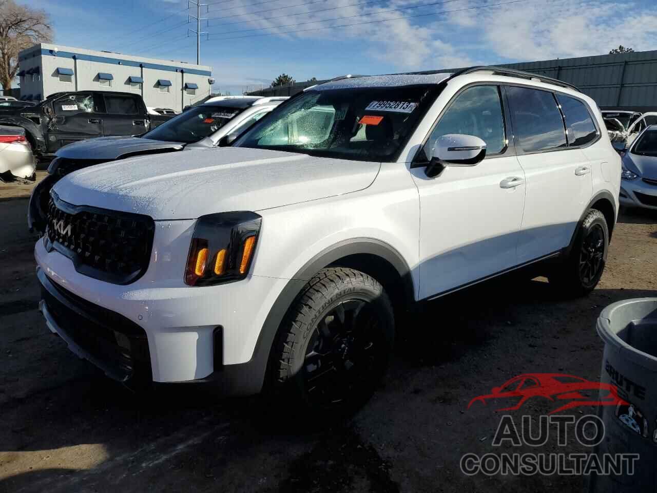 KIA TELLURIDE 2024 - 5XYP5DGC2RG457794