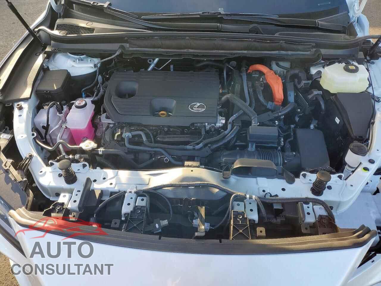 LEXUS RX 350H 2026 - 2T2BBMCA5TC120865