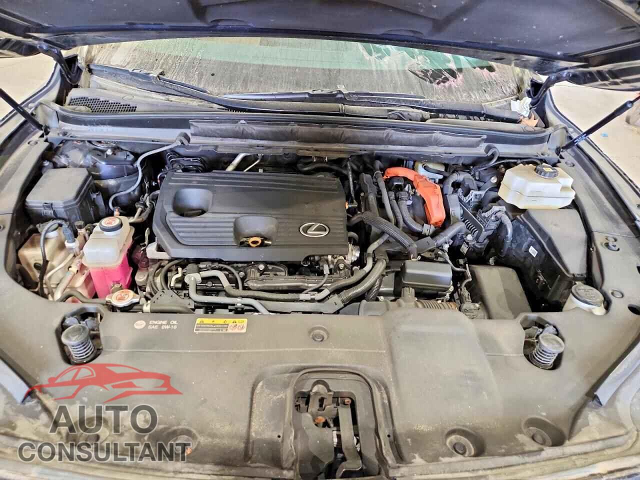 LEXUS RX350H 2024 - 2T2BBMCA4RC046380