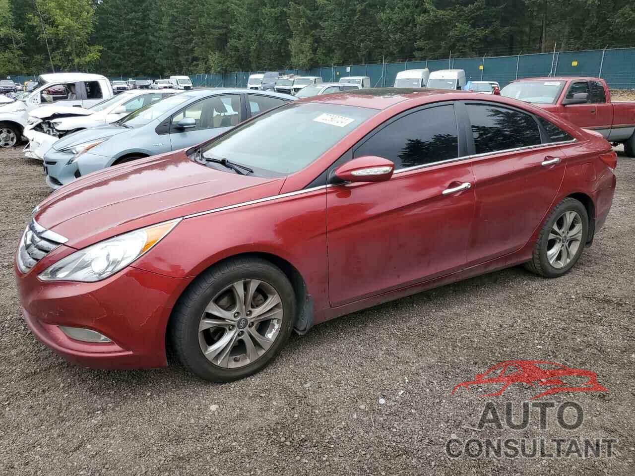 HYUNDAI SONATA 2013 - 5NPEC4AC3DH662791