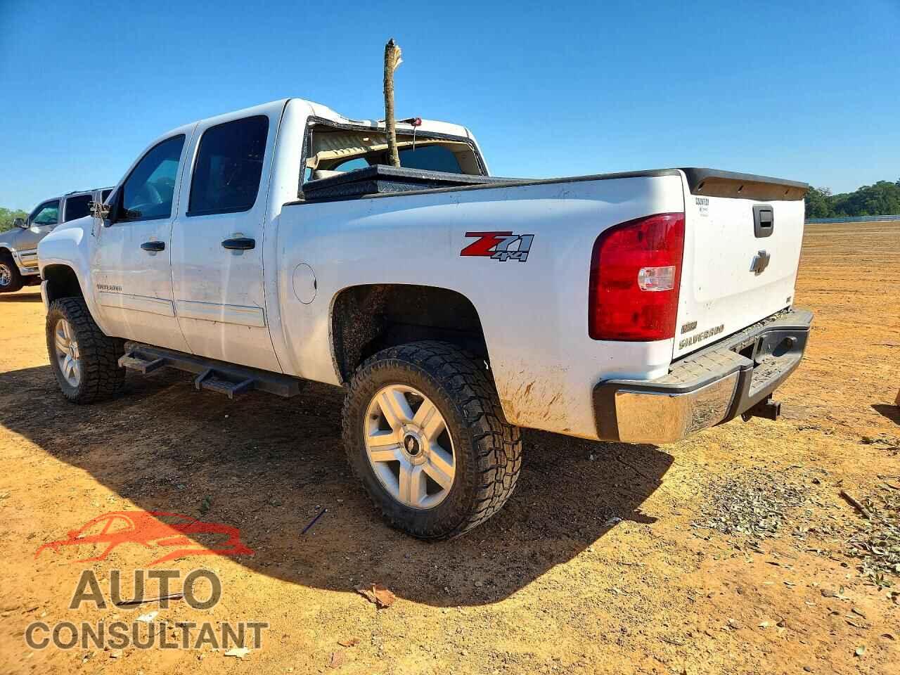 CHEVROLET SILVERADO 2010 - 3GCRKTE3XAG140415