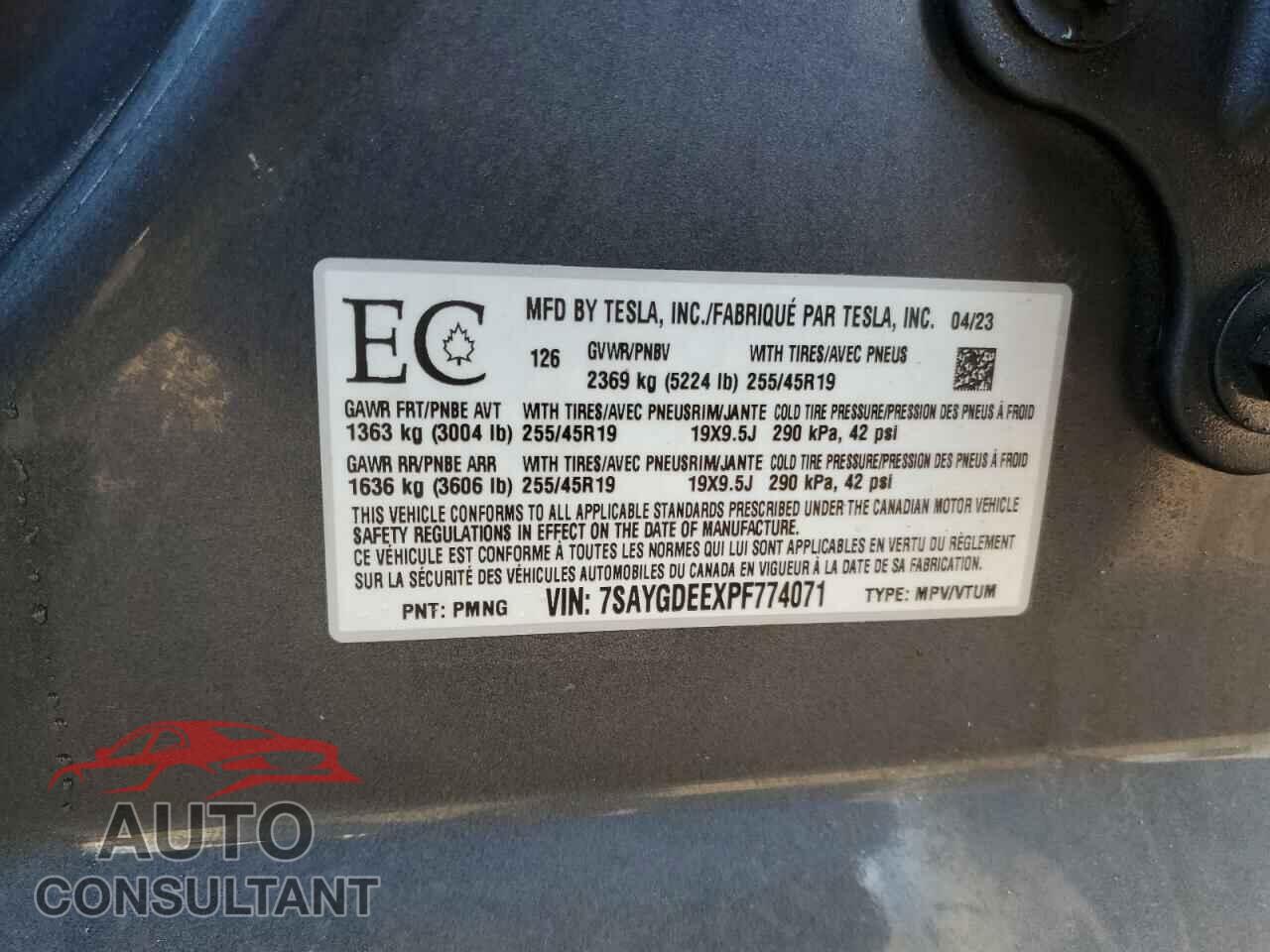 TESLA MODEL Y 2023 - 7SAYGDEEXPF774071
