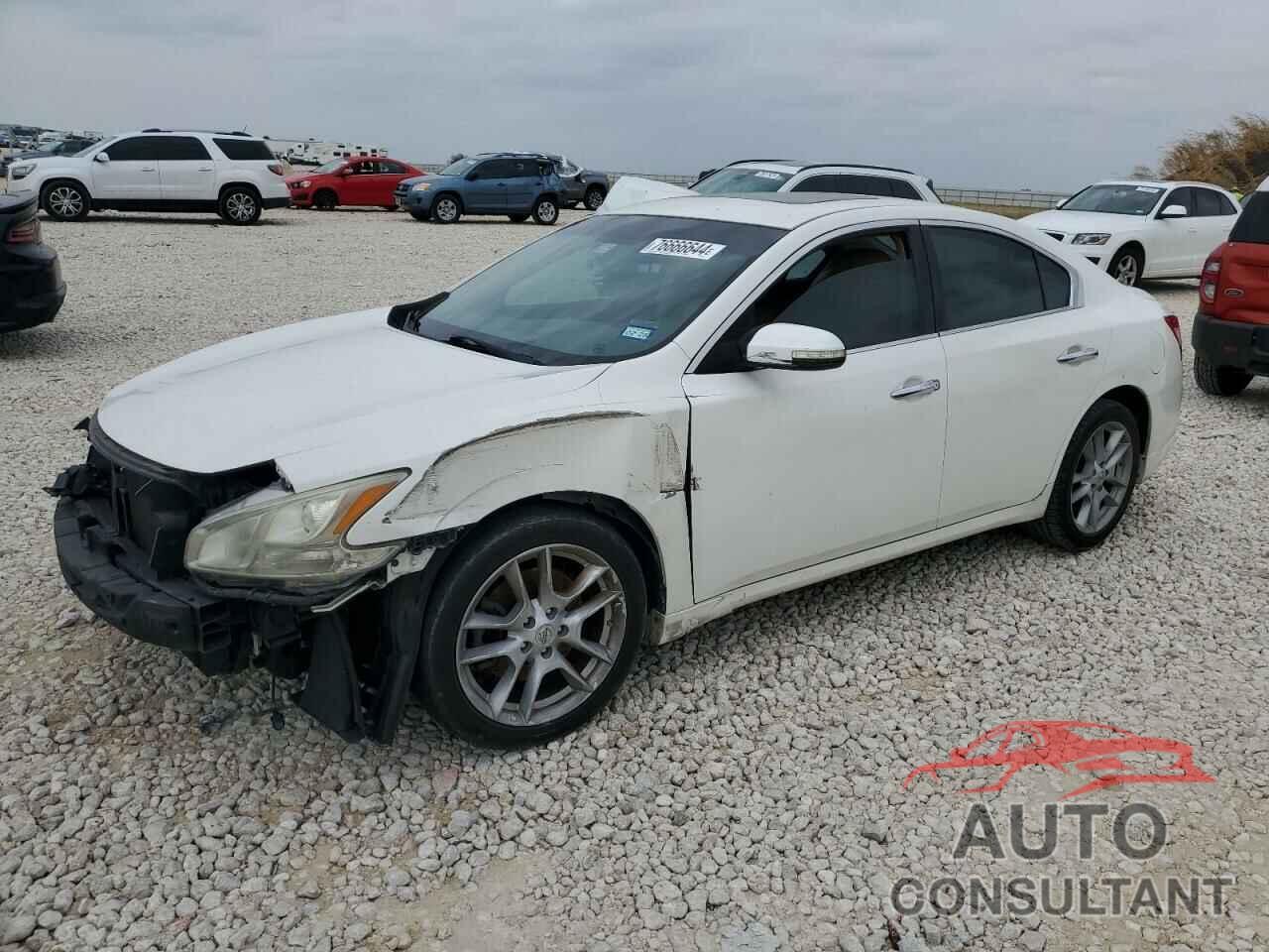NISSAN MAXIMA 2011 - 1N4AA5APXBC816604