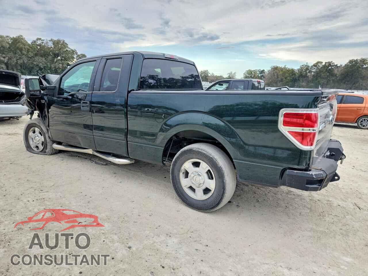 FORD F150 2012 - 1FTFX1CF8CFD04397