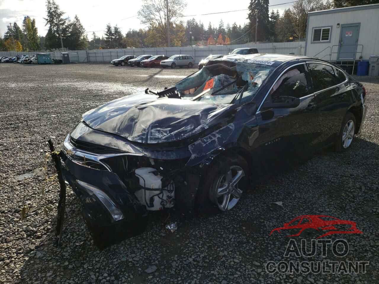CHEVROLET MALIBU 2024 - 1G1ZB5ST4RF114401