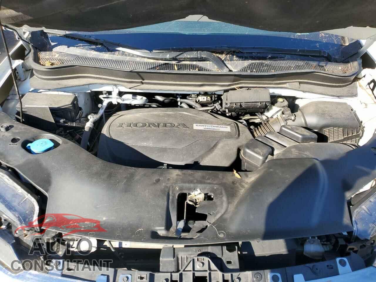 HONDA PILOT 2019 - 5FNYF5H69KB007167