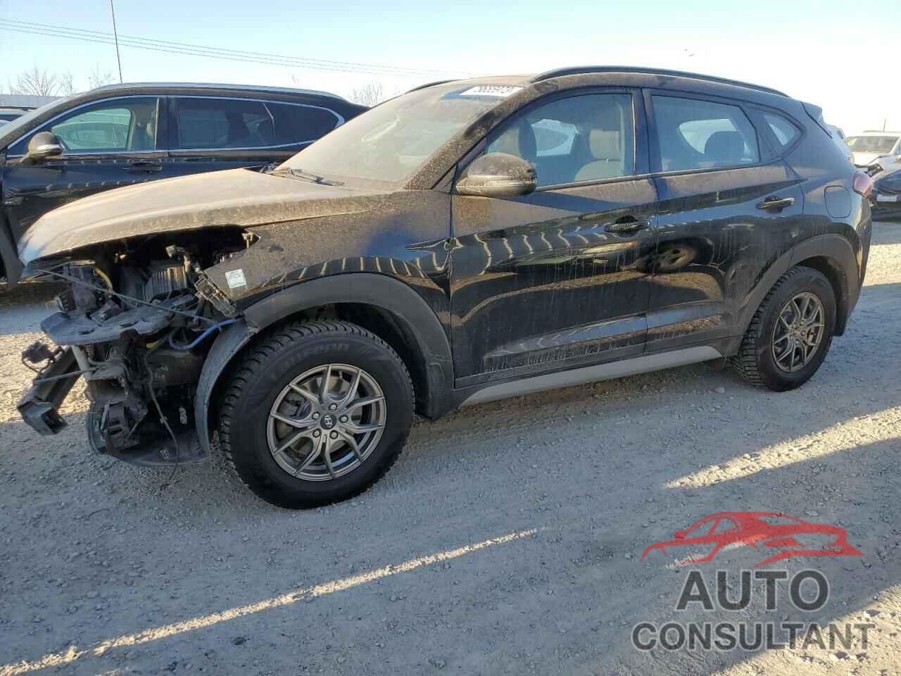 HYUNDAI TUCSON 2019 - KM8J3CAL3KU909511