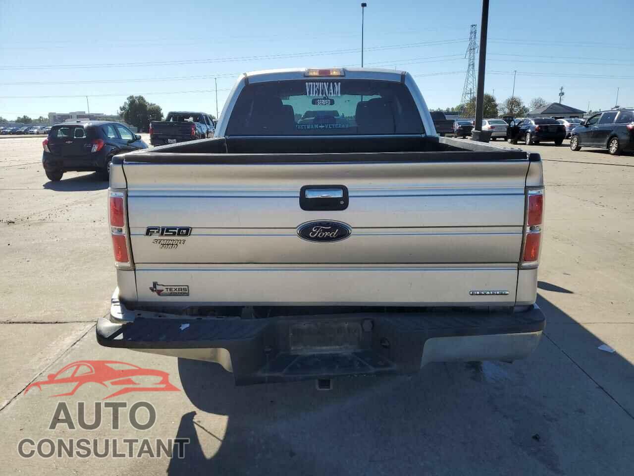 FORD F-150 2013 - 1FTFX1CF8DFC64260