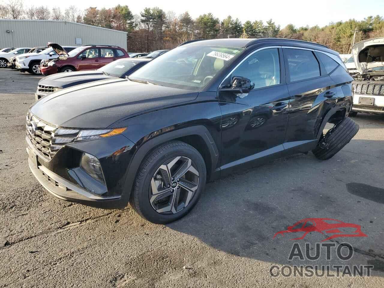 HYUNDAI TUCSON 2024 - 5NMJFCDEXRH319171