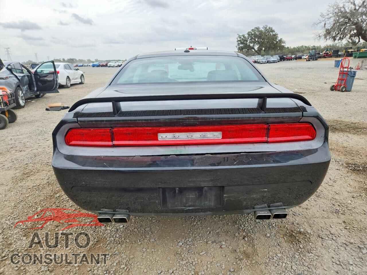 DODGE CHALLENGER 2011 - 2B3CJ5DTXBH541004