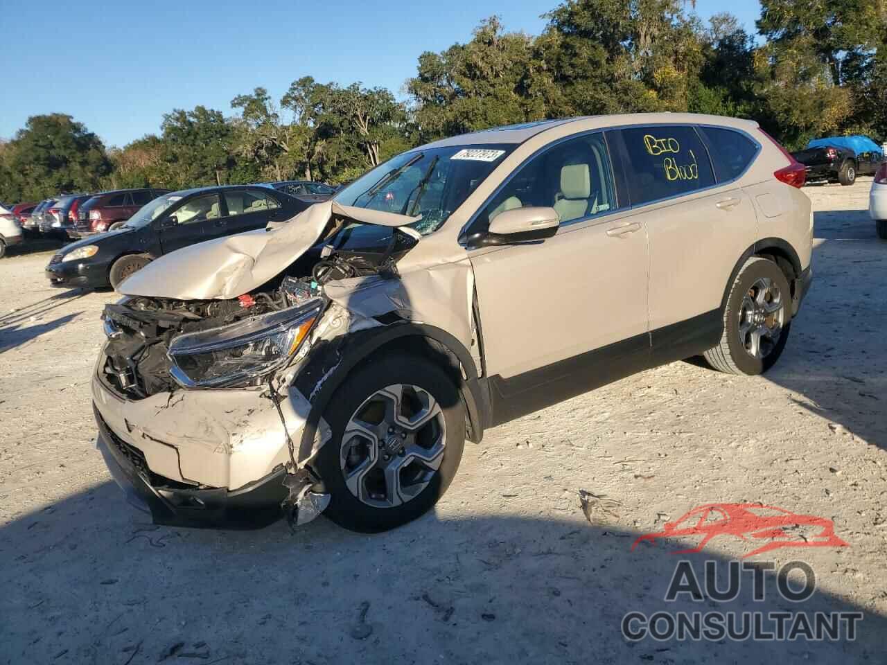 HONDA CRV 2019 - 5J6RW1H80KL002977