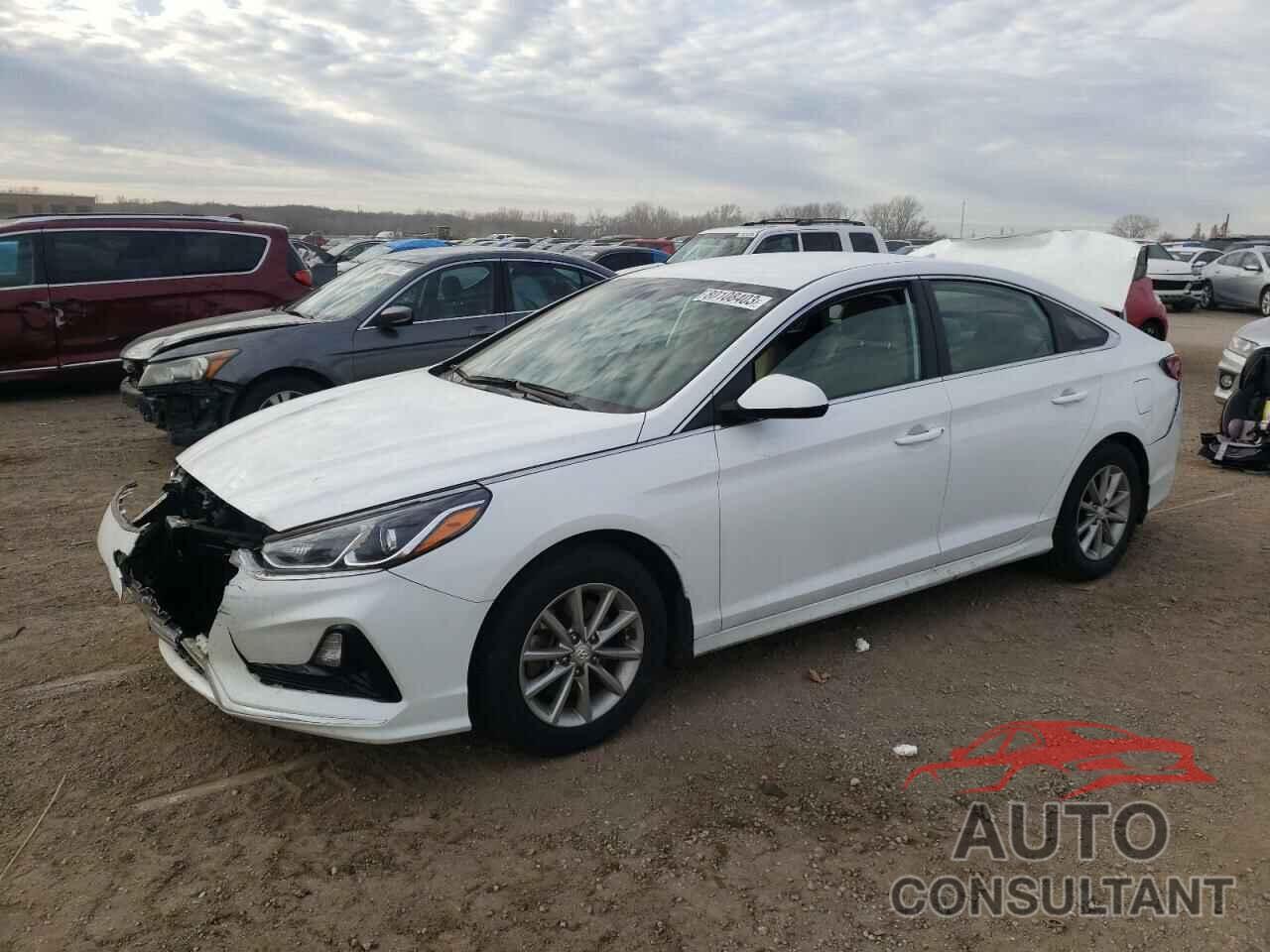 HYUNDAI SONATA 2019 - 5NPE24AF0KH805819