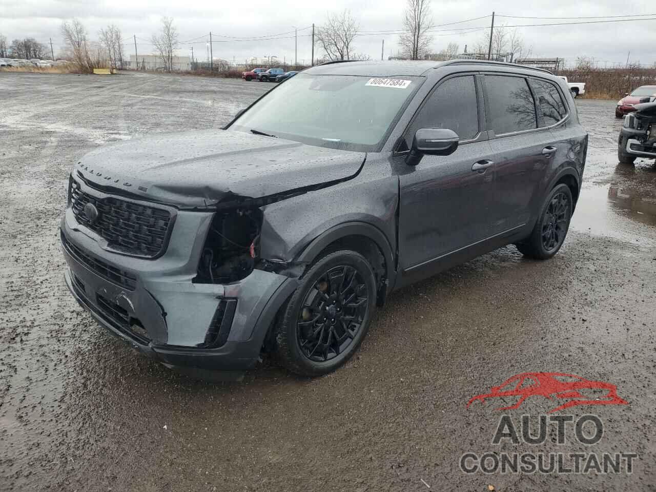 KIA TELLURIDE 2021 - 5XYP5DHC8MG163081