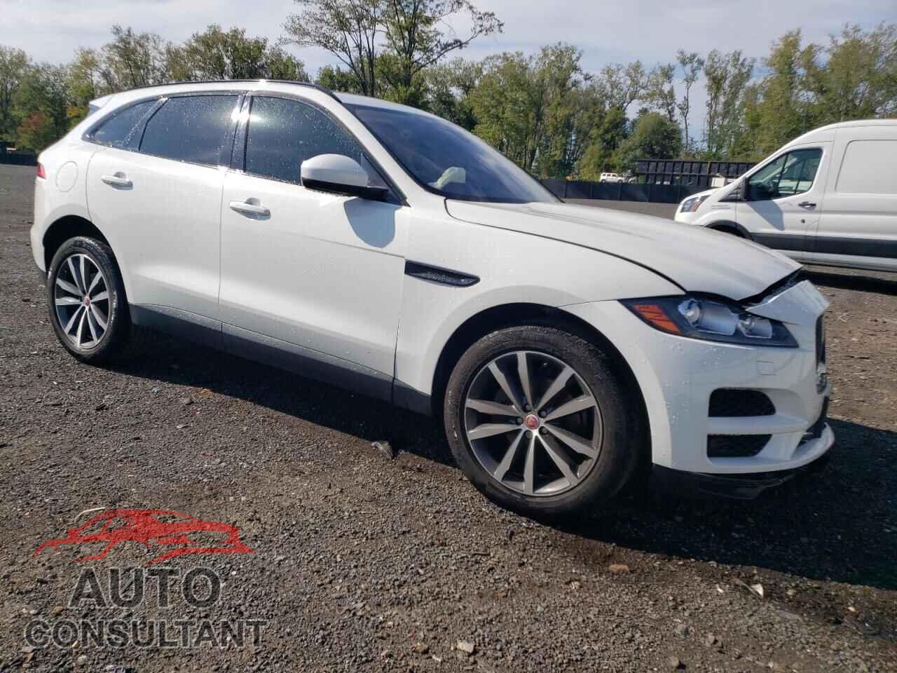 JAGUAR F-PACE 2019 - SADCK2FX7KA353473