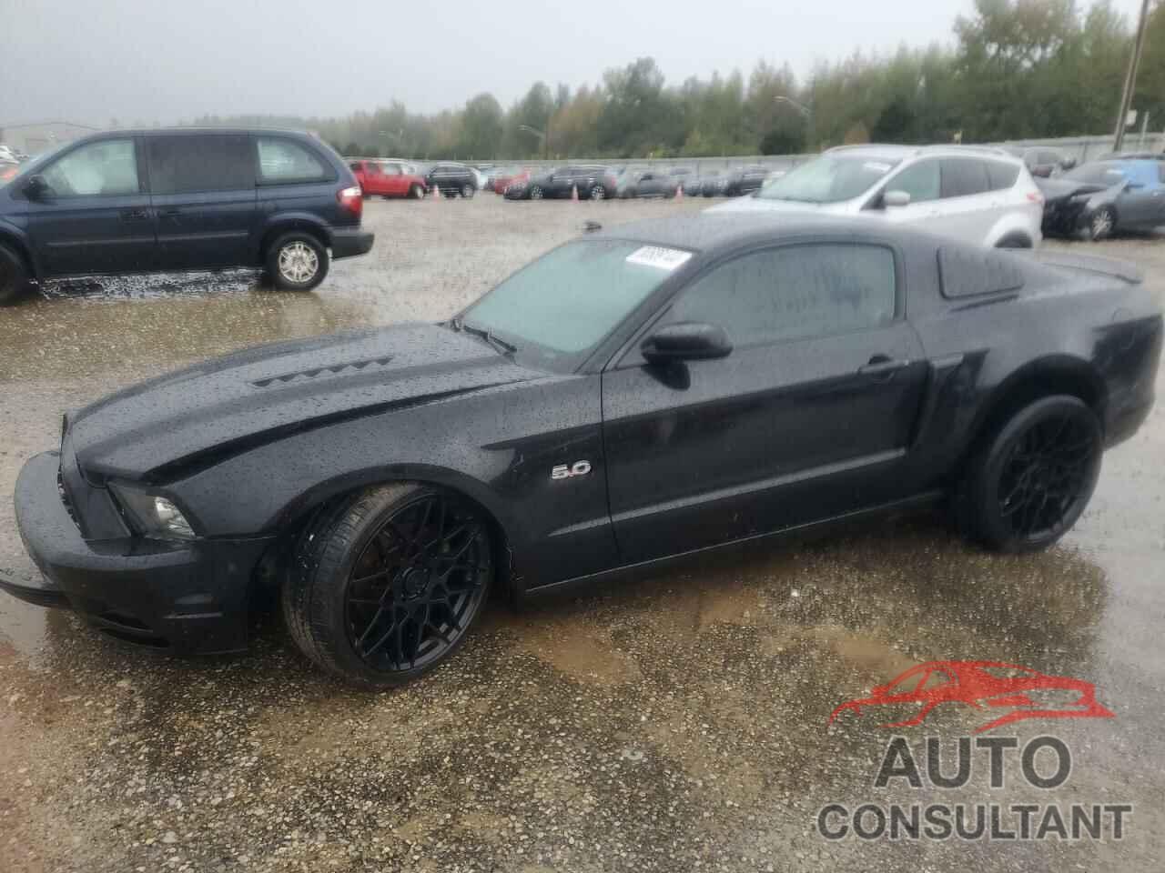 FORD MUSTANG 2014 - 1ZVBP8CF1E5332054