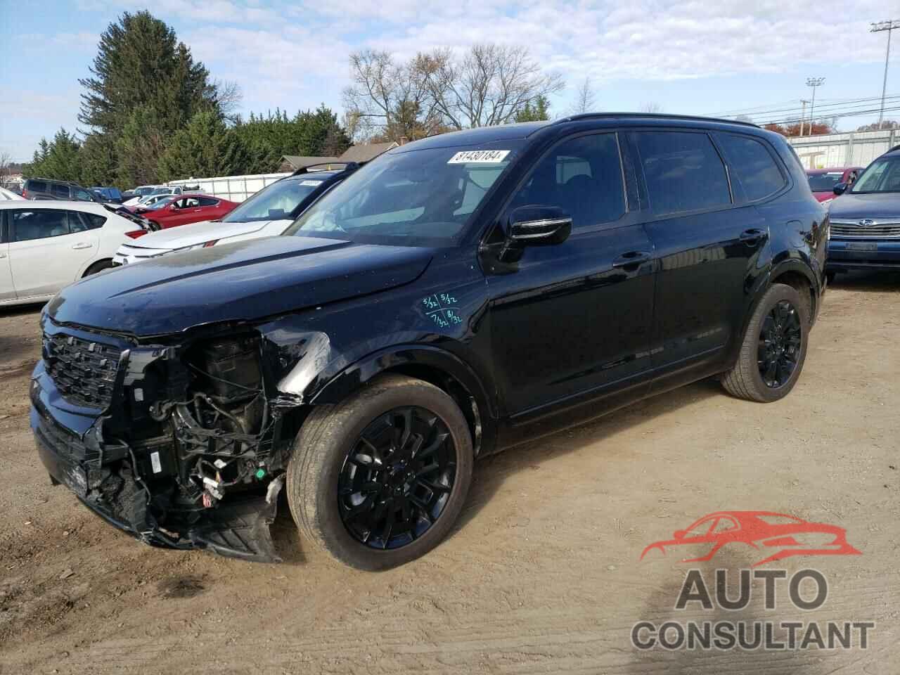 KIA TELLURIDE 2021 - 5XYP5DHC8MG152162