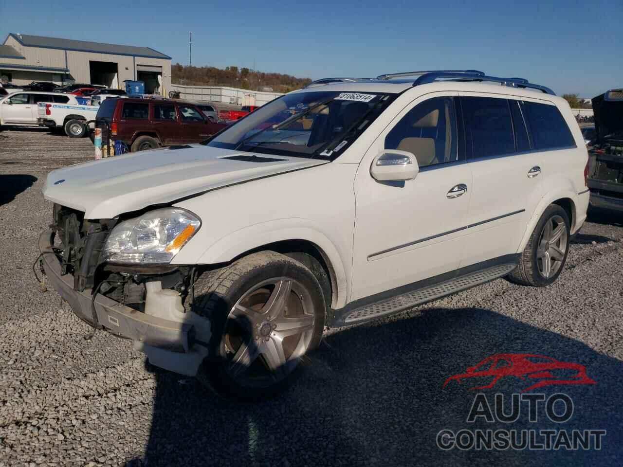 MERCEDES-BENZ GL-CLASS 2010 - 4JGBF8GE4AA579315
