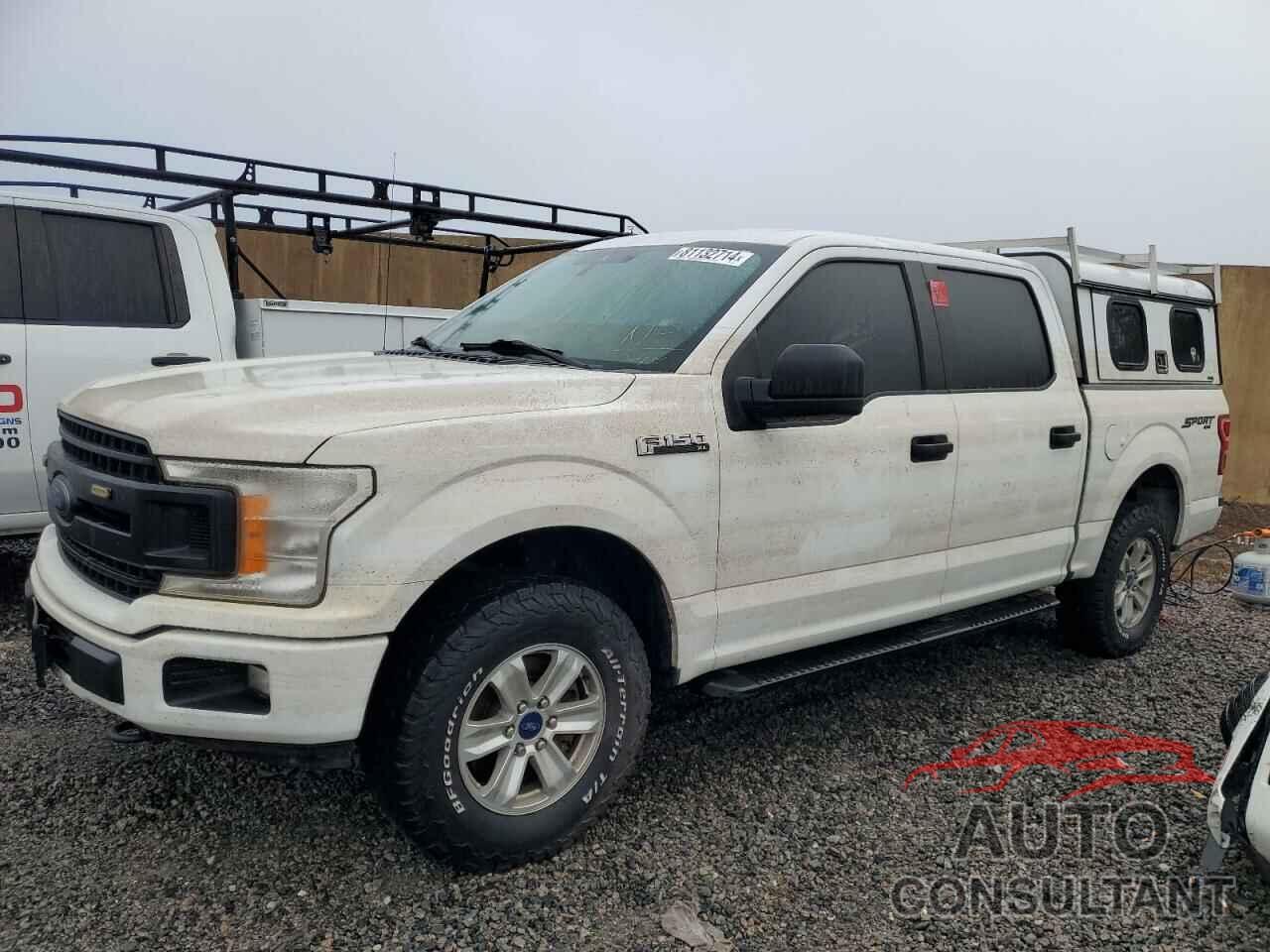 FORD F-150 2019 - 1FTEW1EB1KFA07687