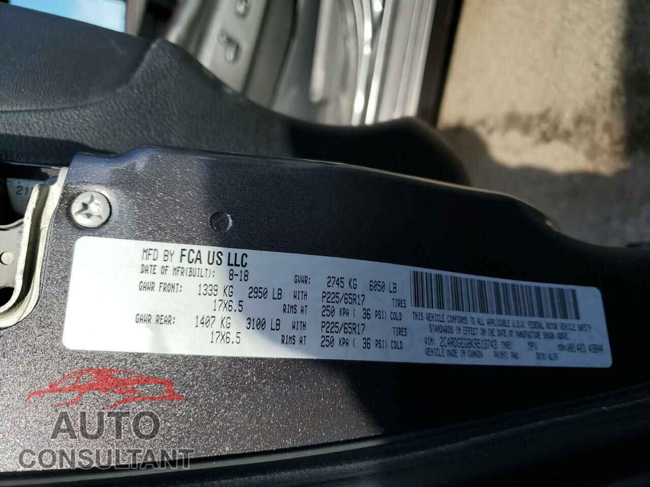 DODGE CARAVAN 2019 - 2C4RDGEG8KR513743
