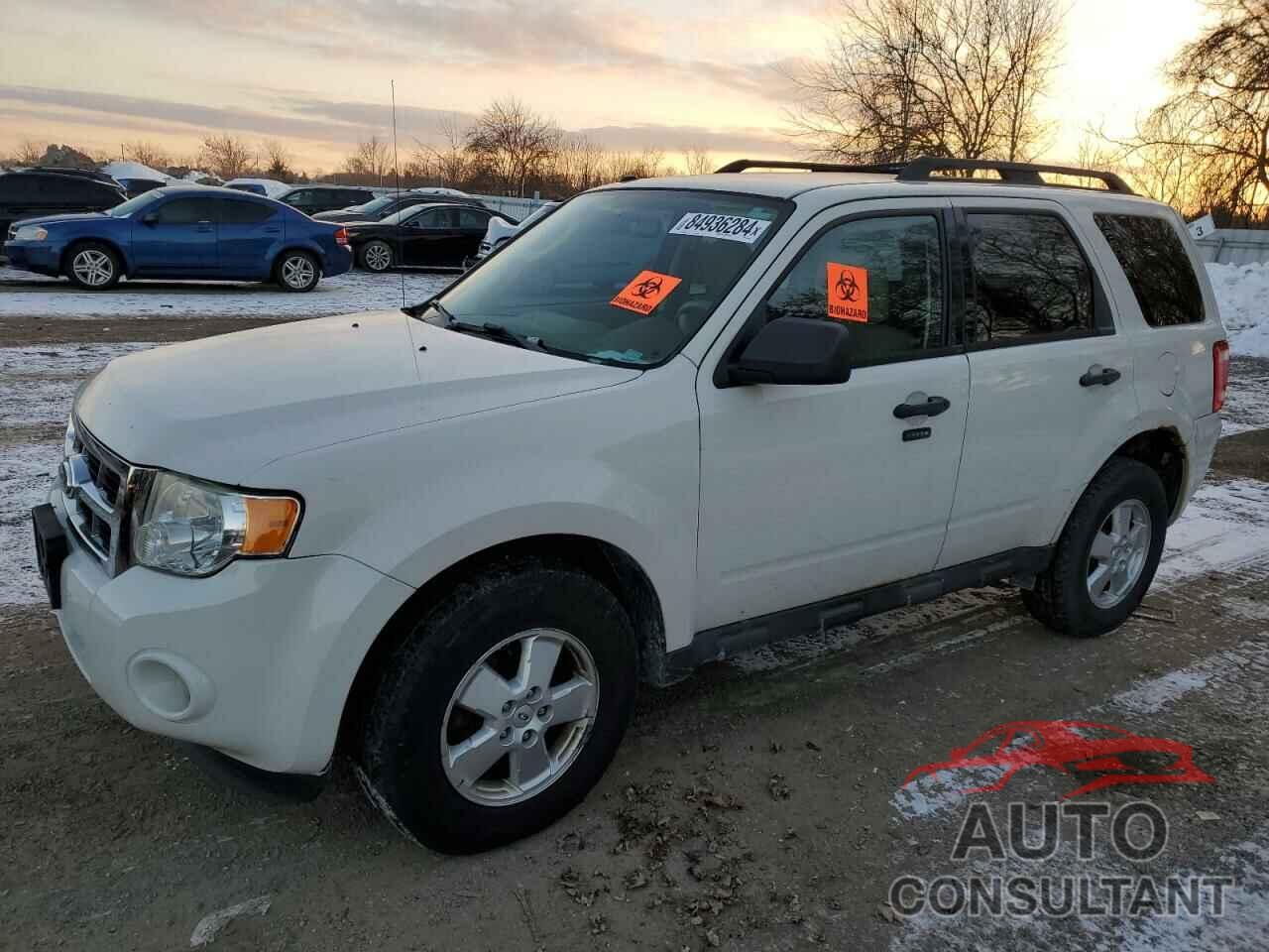 FORD ESCAPE 2011 - 1FMCU9D7XBKB55395