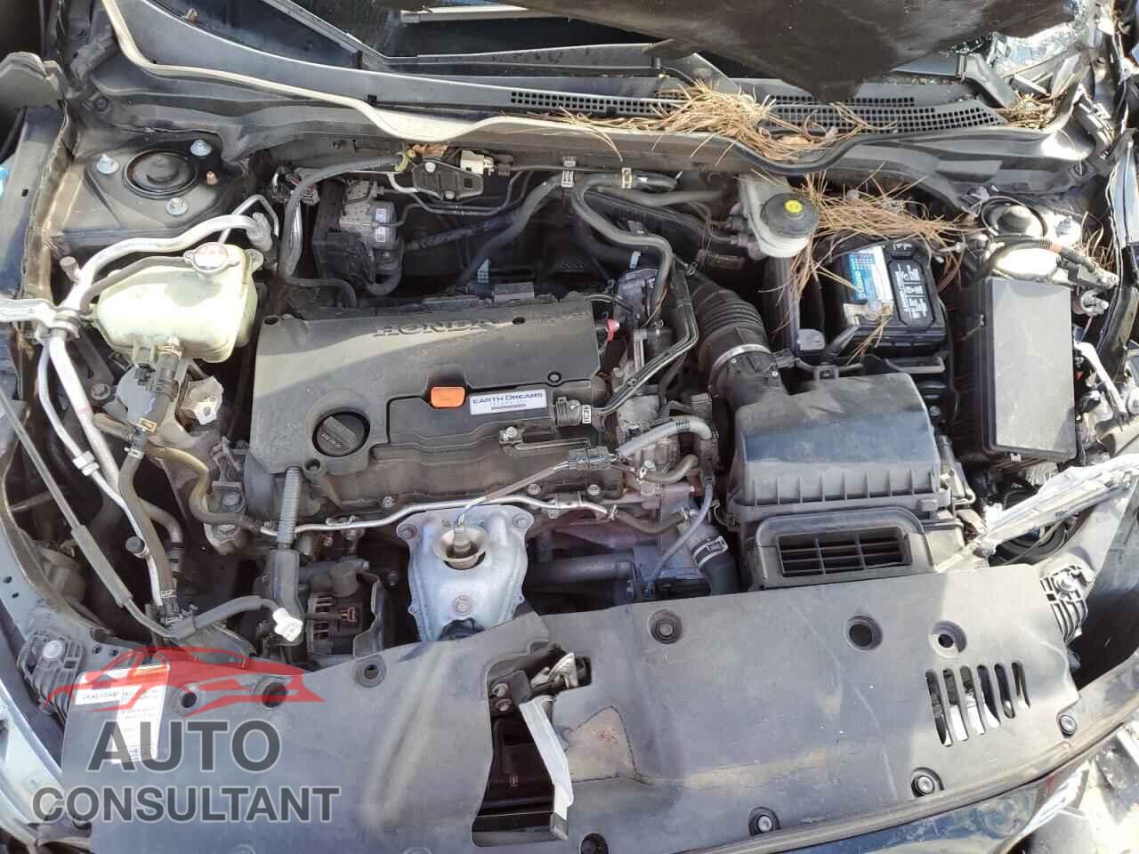HONDA CIVIC 2017 - 19XFC2F81HE029407