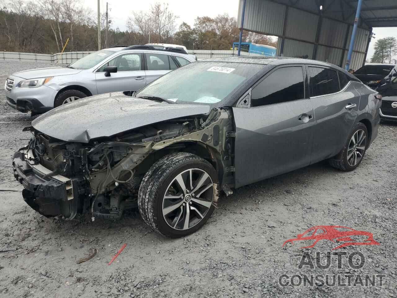 NISSAN MAXIMA 2019 - 1N4AA6AV8KC379254
