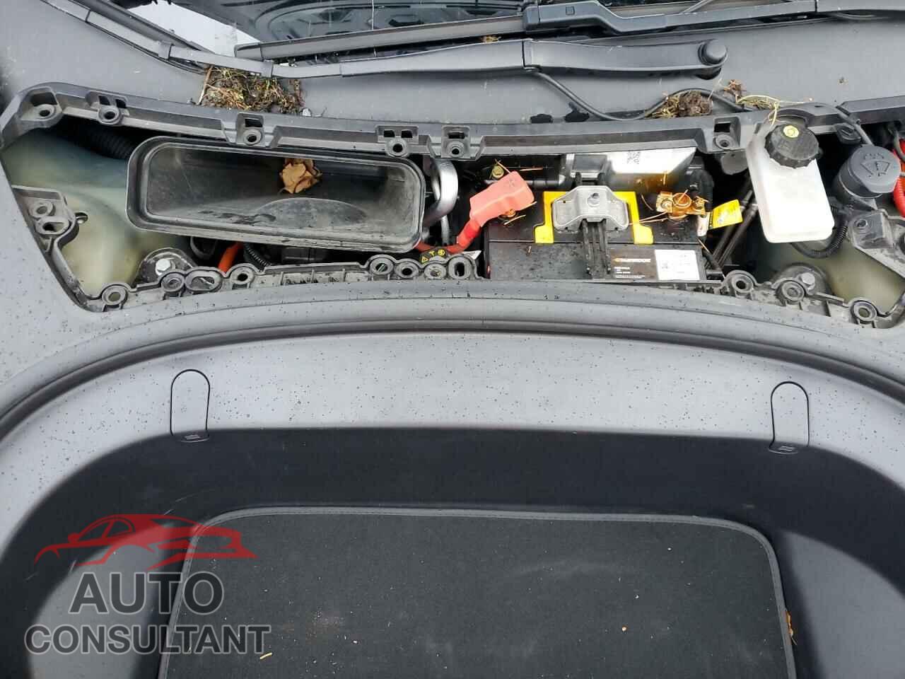 TESLA MODEL 3 2019 - 5YJ3E1EB3KF392006