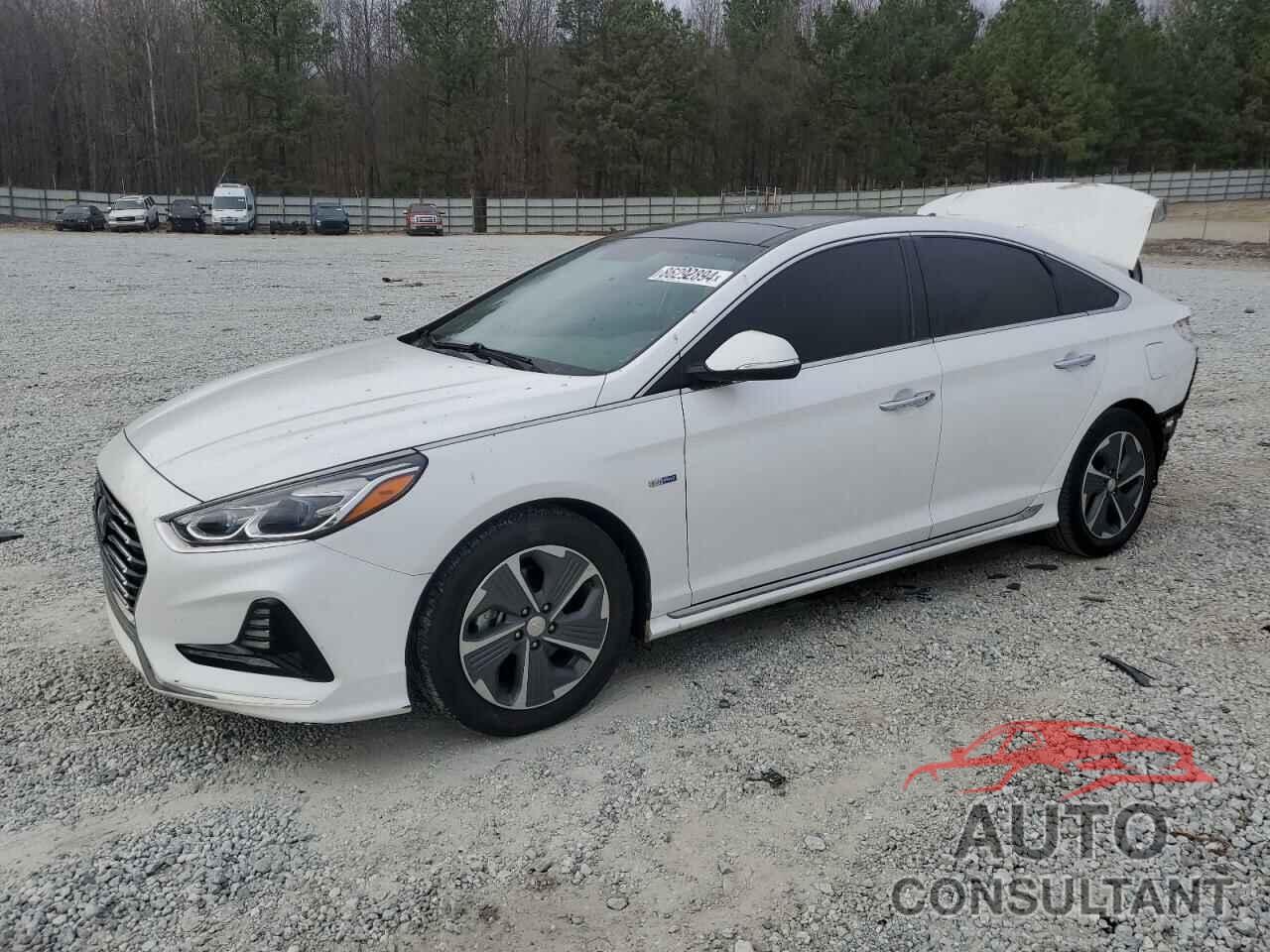 HYUNDAI SONATA 2019 - KMHE34L38KA085138