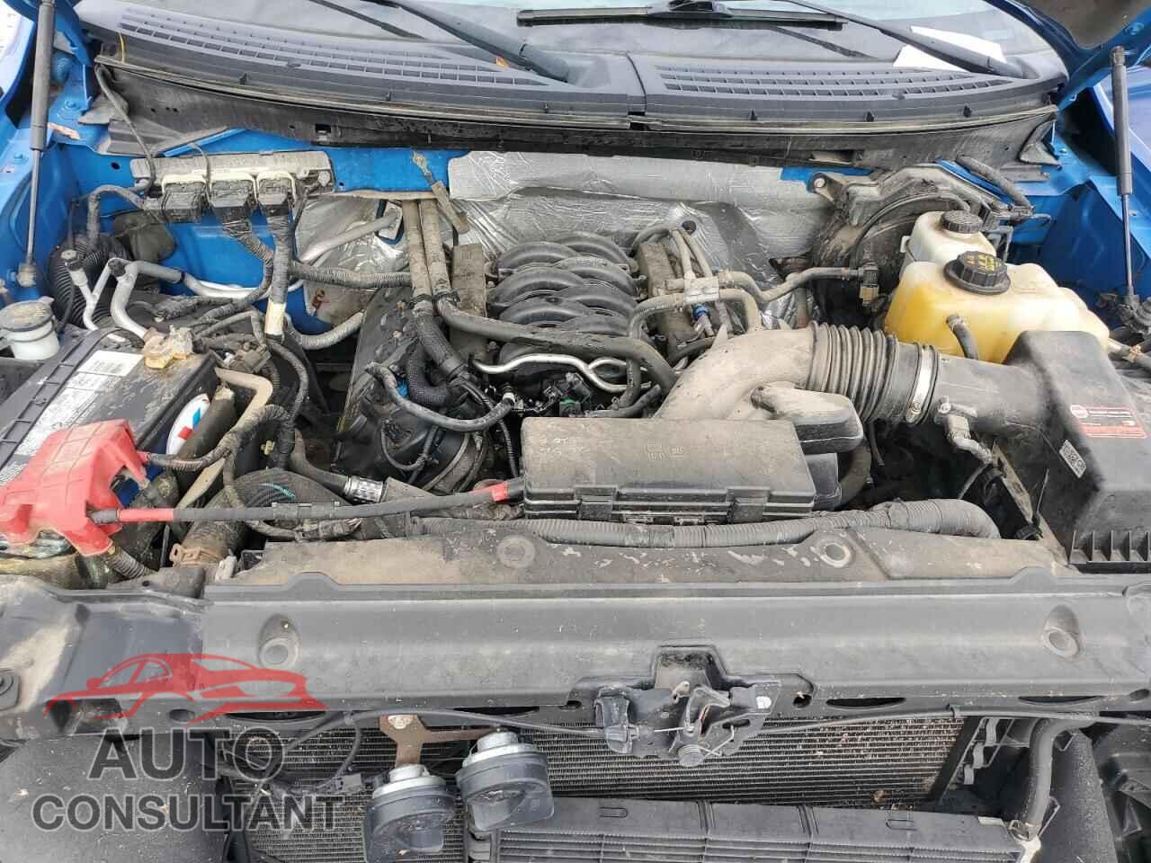 FORD F-150 2013 - 1FTFX1EF7DFD25224