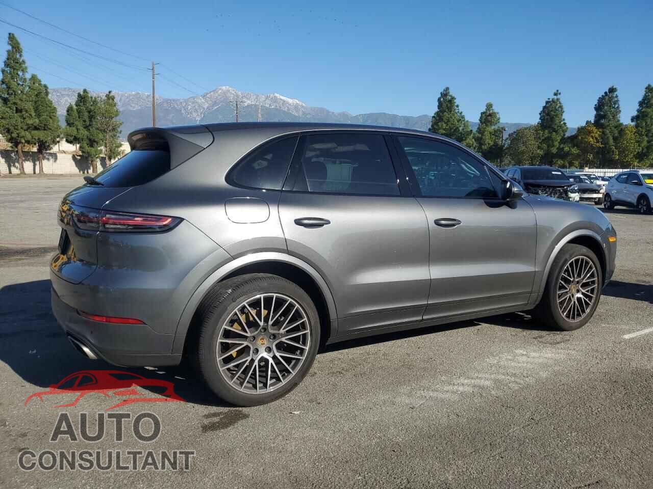 PORSCHE CAYENNE 2020 - WP1AA2AY5LDA09158
