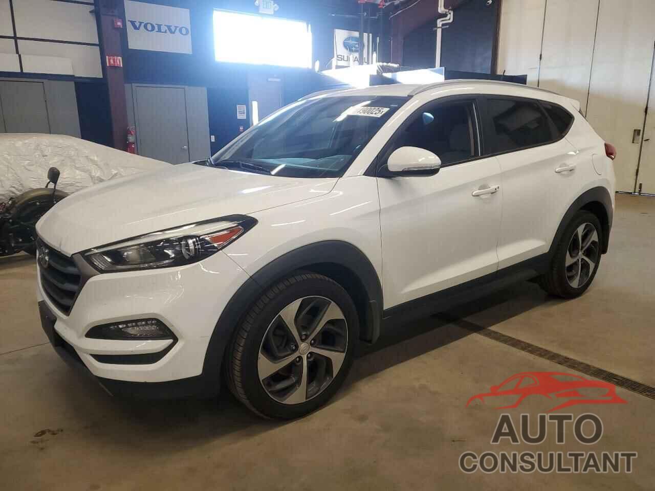 HYUNDAI TUCSON 2016 - KM8J33A28GU073760