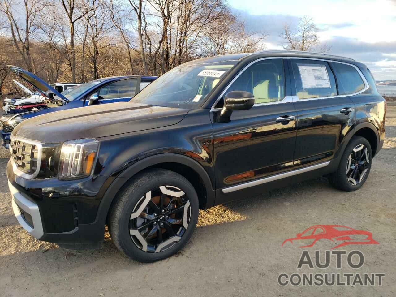 KIA TELLURIDE 2024 - 5XYP64GC7RG545348
