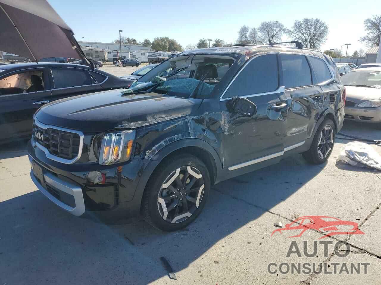 KIA TELLURIDE 2024 - 5XYP6DGC1RG465950