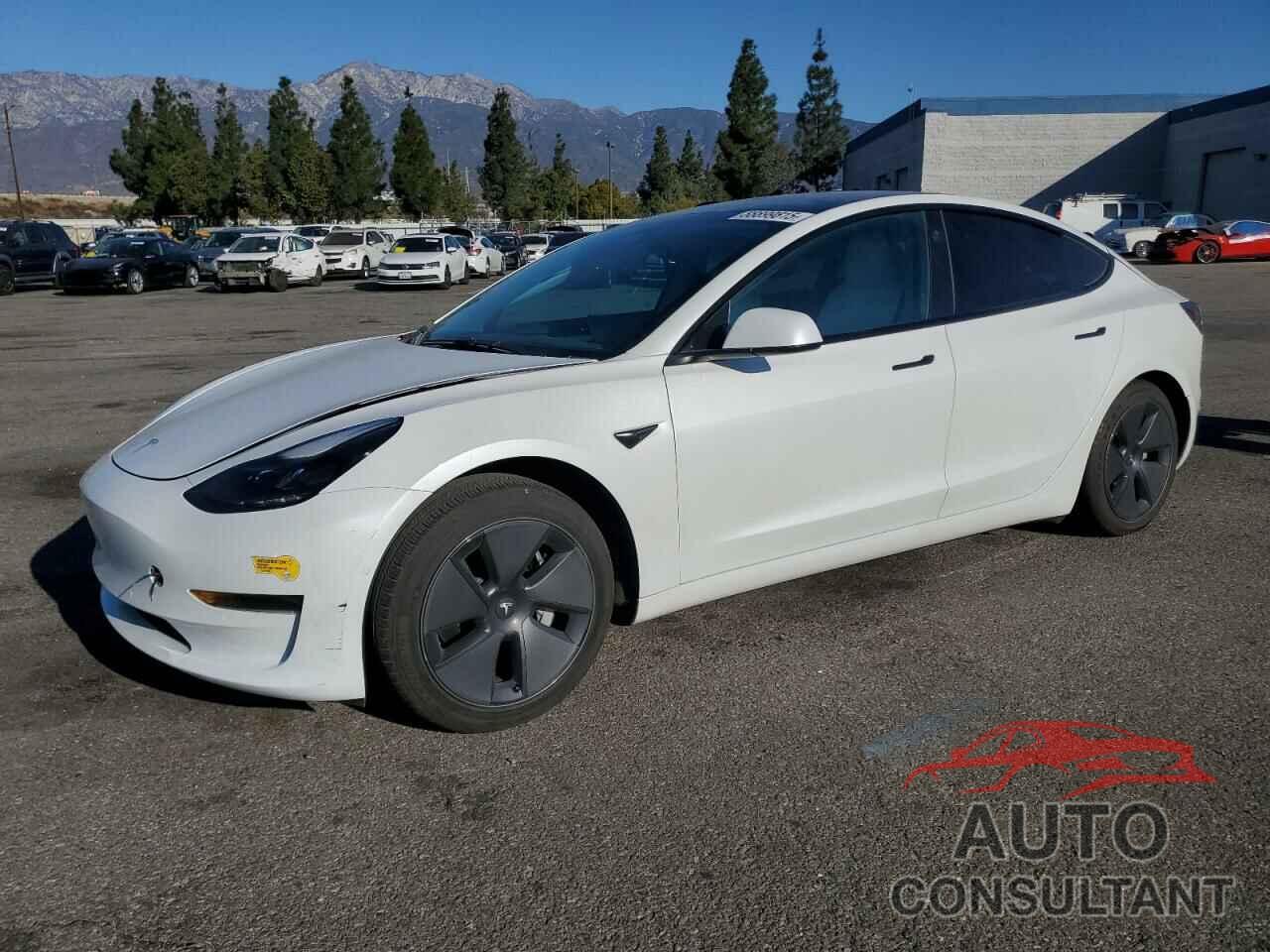 TESLA MODEL 3 2022 - 5YJ3E1EAXNF375246