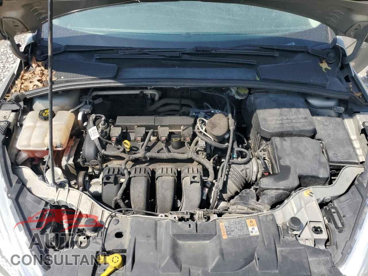 FORD FOCUS 2015 - 1FADP3F21FL206190