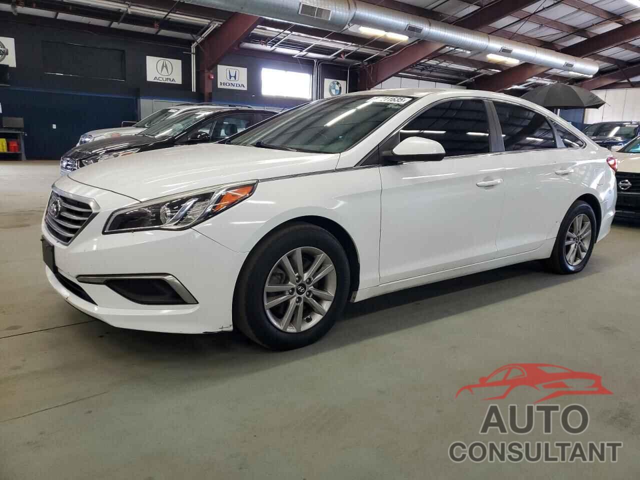 HYUNDAI SONATA 2017 - 5NPE24AF8HH554668
