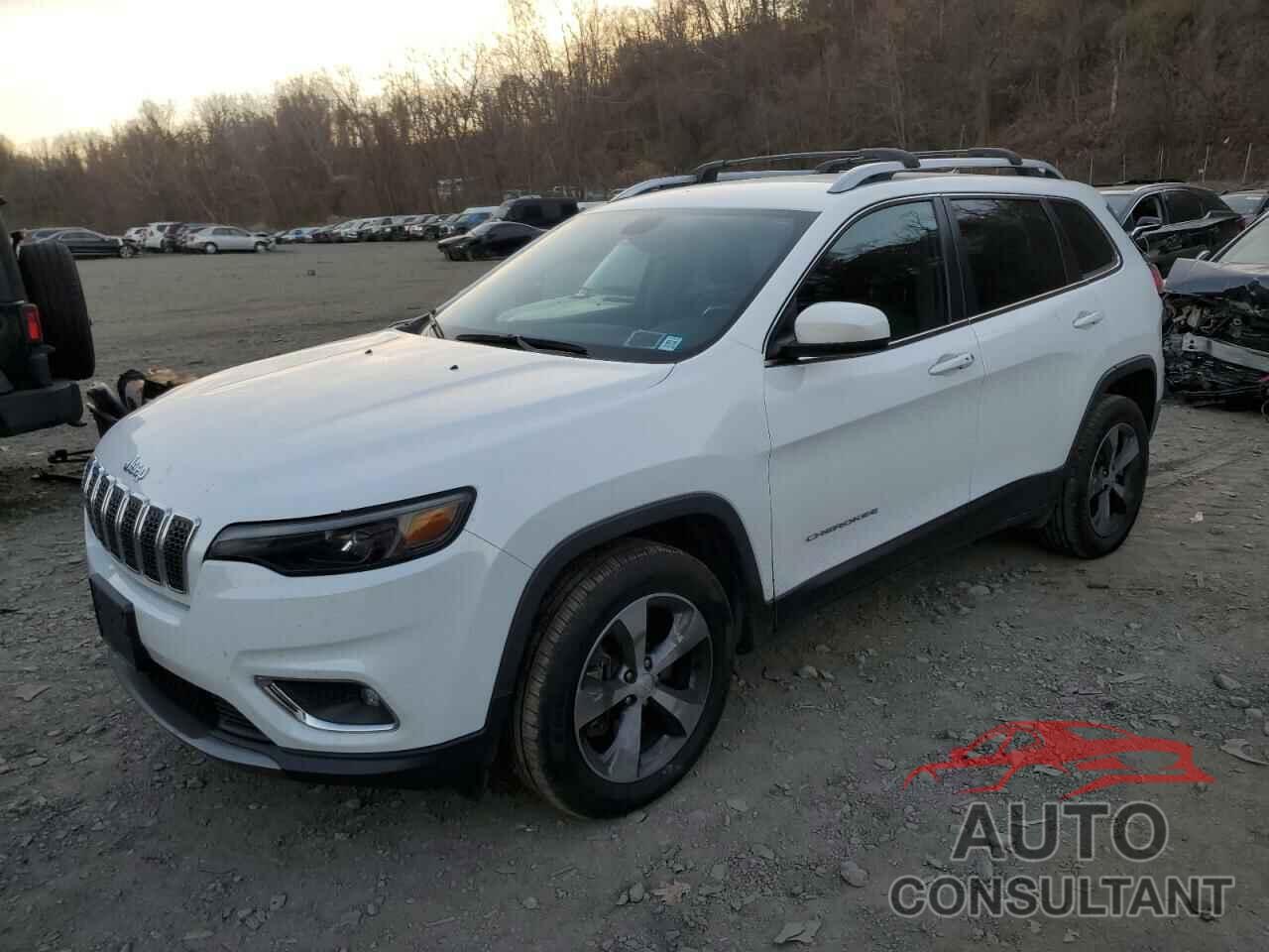 JEEP GRAND CHER 2019 - 1C4PJMDX3KD239810