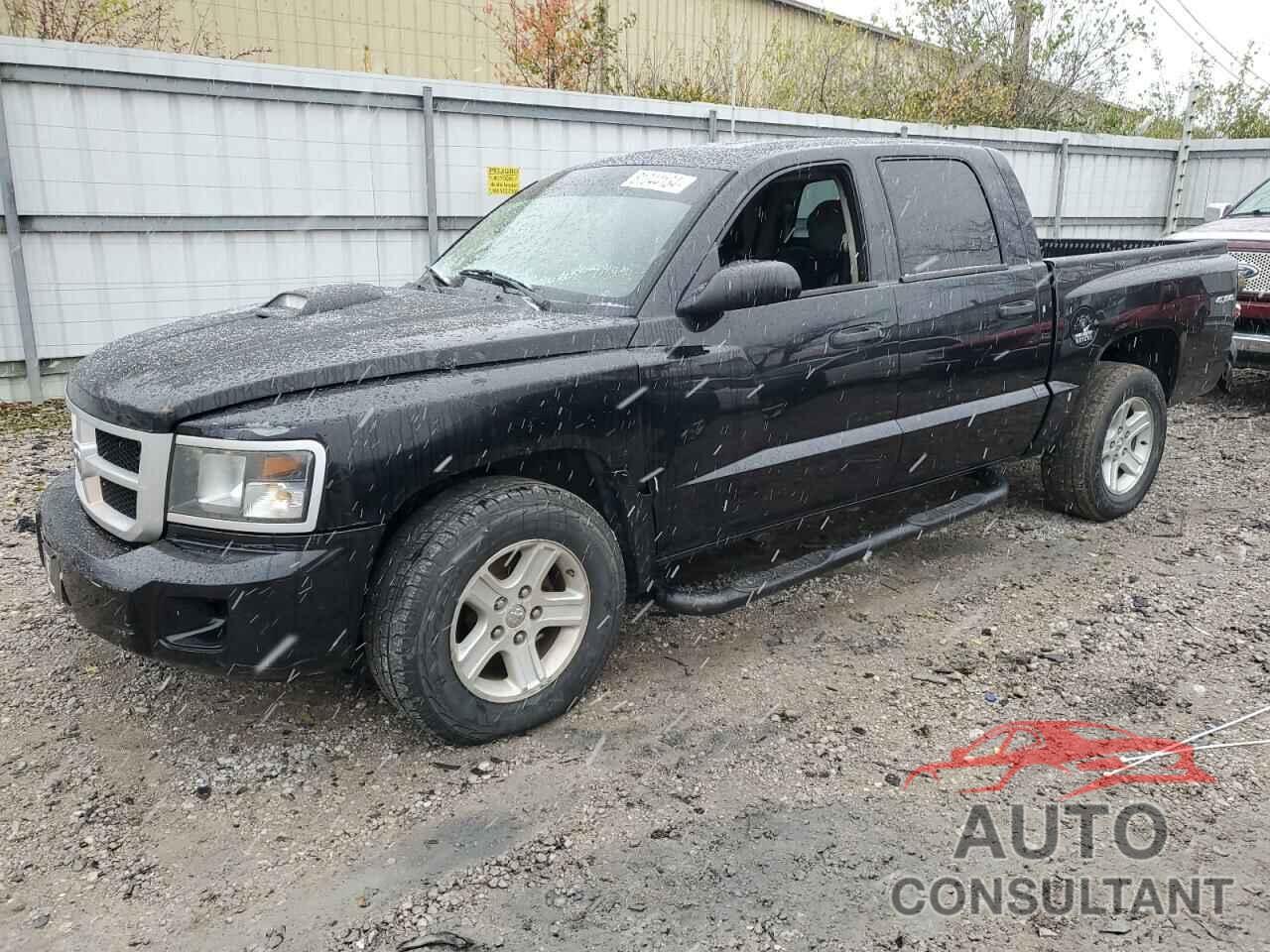 DODGE DAKOTA 2011 - 1D7RW3GK6BS620041