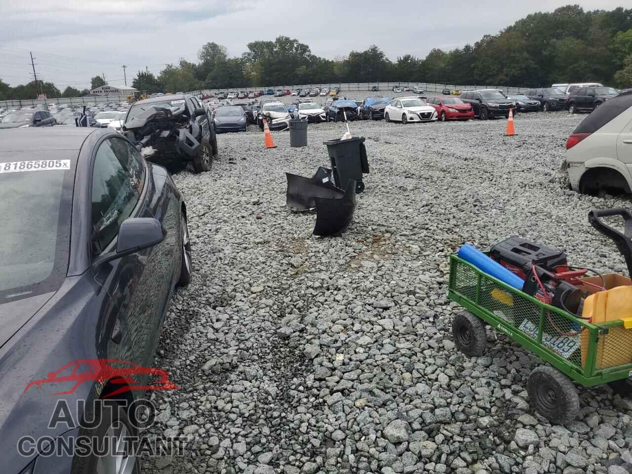 TESLA MODEL 3 2024 - 5YJ3E1EA4RF769573