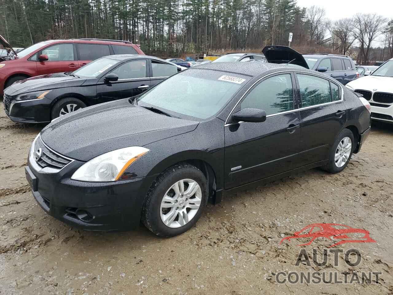 NISSAN ALTIMA 2010 - 1N4CL2AP2AC162231